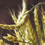 亚洲中文字幕无码一区二区三区 03lh4q