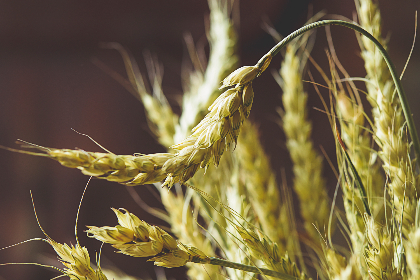 亚洲中文字幕无码一区二区三区 亚洲中文字幕无码一区二区三区