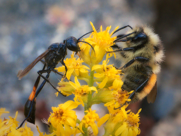 岳※的紧致|zzo人与人 岳※的紧致|zzo人与人