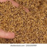 青苹果影院yy04080 lpf53l5zl0