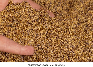 青苹果影院yy04080 青苹果影院yy04080