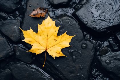 精品国内短视频在线观看 精品国内短视频在线观看