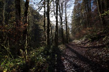 精品国精品国产自在久国产 精品国精品国产自在久国产