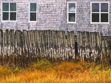 九色鹿成语:探索九色鹿背后的文化寓意与故事 九色鹿成语:探索九色鹿背后的文化寓意与故事