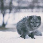 p站官网网址进入:轻松访问P站的最新方法与技巧分享 r4lylv0