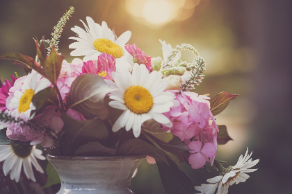 yhdmz.org:探索网络资源共享与信息交流的新平台 yhdmz.org:探索网络资源共享与信息交流的新平台