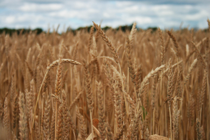 九色鹿上路线:探索神秘山谷中的自然奇观与人文魅力 九色鹿上路线:探索神秘山谷中的自然奇观与人文魅力